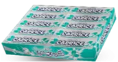 CAPRICE Chewing Gum MENTHE 20 paquets de 5 Tablettes
